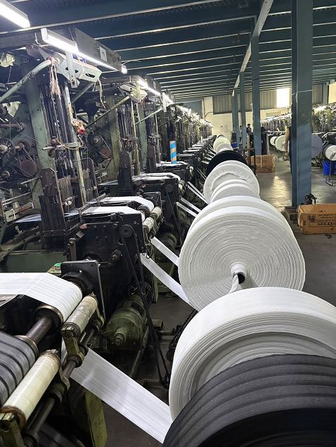 Loom hall at Oasis Texfab